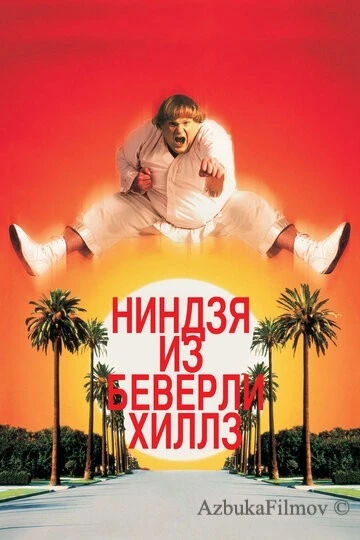 Фильм Ниндзя из Беверли-Хиллз (1997)
