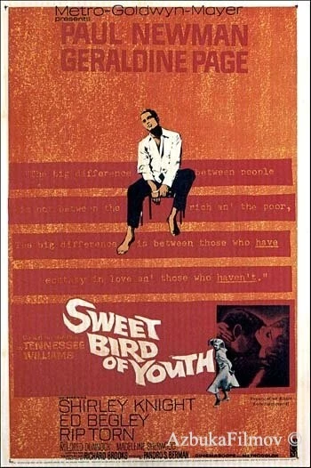 Фильм Сладкоголосая птица юности (1962)