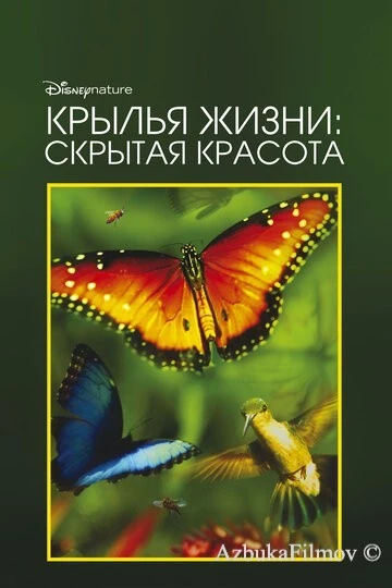 Фильм Крылья жизни: Скрытая красота (2011)