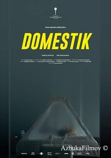 Фильм Домашний режим (2018)