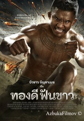 Фильм Легенда о герое со сломанным мечом (2017)