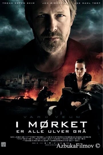 Фильм Варг Веум: Ночью все волки серы (2011)