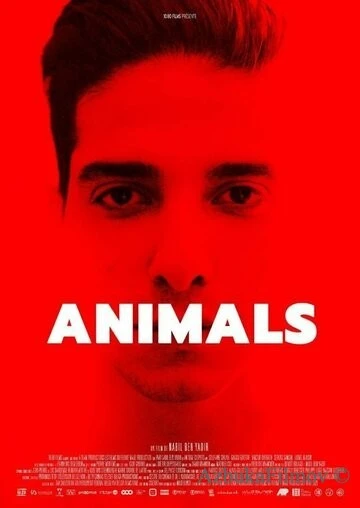 Фильм Животные (2021)