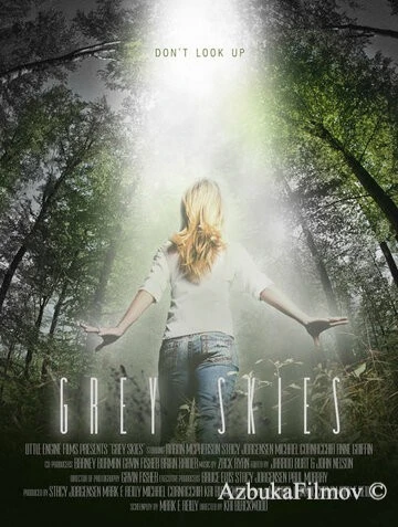 Фильм Серые небеса (2010)