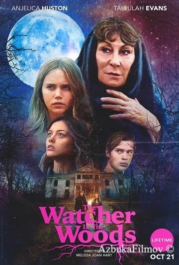 Фильм Лесной наблюдатель (2017)
