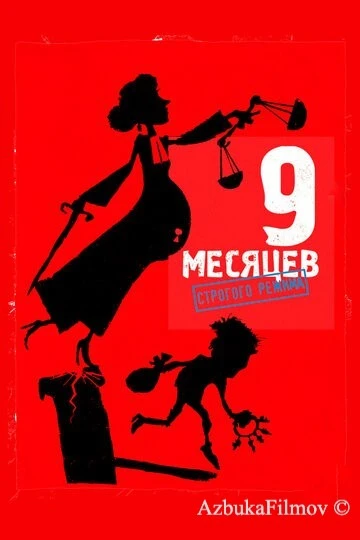 Фильм 9 месяцев строгого режима (2013)