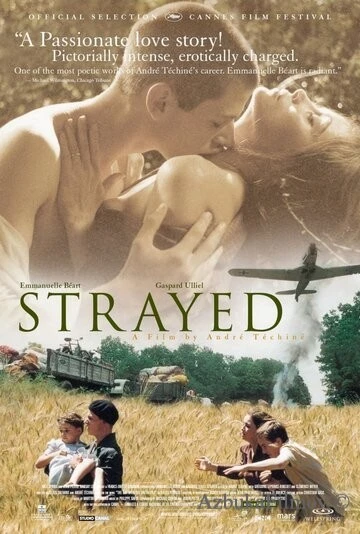 Фильм Заблудившиеся (2003)