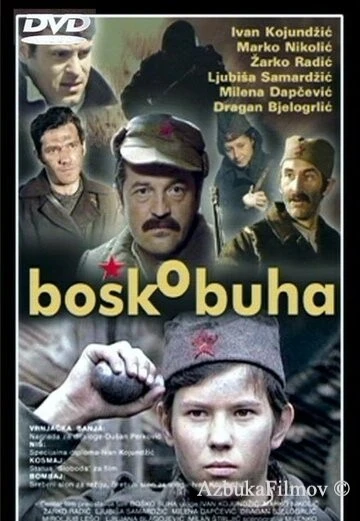 Фильм Бошко Буха (1978)