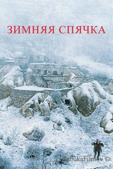 Фильм Зимняя спячка (2014)
