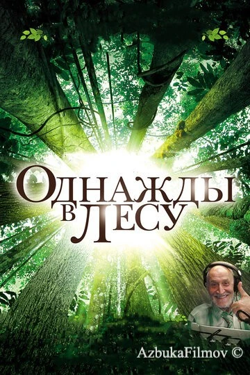 Фильм Однажды в лесу (2013)