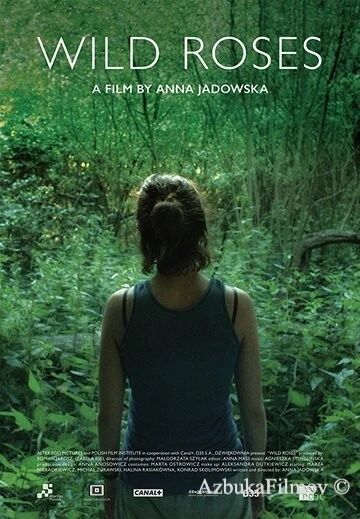 Фильм Дикие розы (2017)