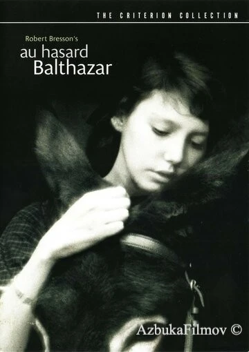 Фильм Наудачу, Бальтазар (1966)