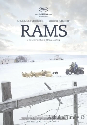 Фильм Бараны (2015)