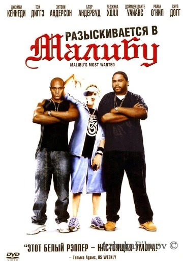 Фильм Разыскиваются в Малибу (2003)