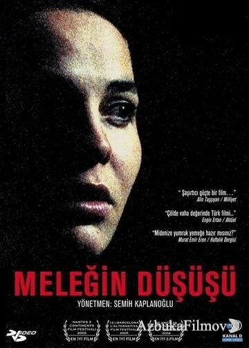 Фильм Падение Ангела (2004)
