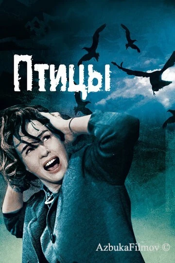 Фильм Птицы (1963)