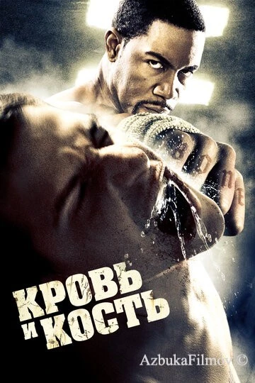 Фильм Кровь и кость (2009)