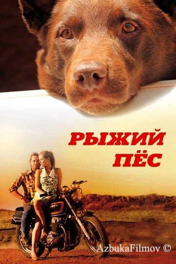 Фильм Рыжий пес (2011)