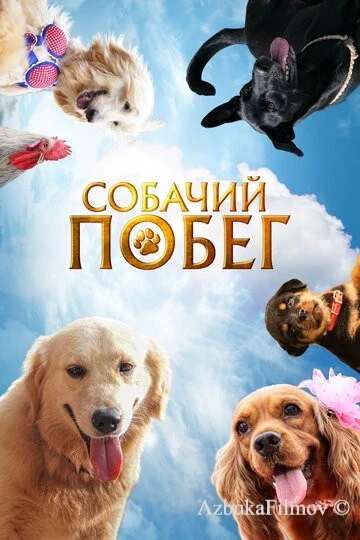 Фильм Собачий побег (2023)