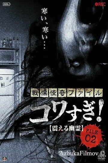 Фильм Ужасающие материалы, файл 2: Дрожащий призрак (2012)