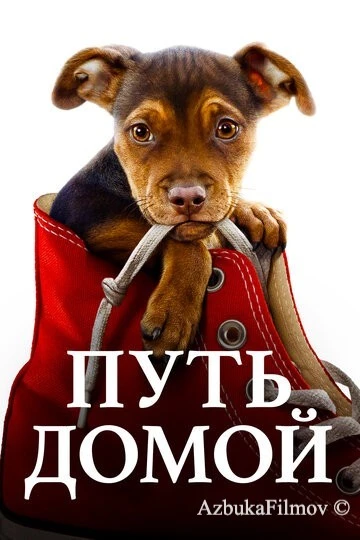 Фильм Путь домой (2019)