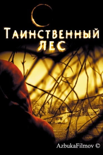 Фильм Таинственный лес (2004)