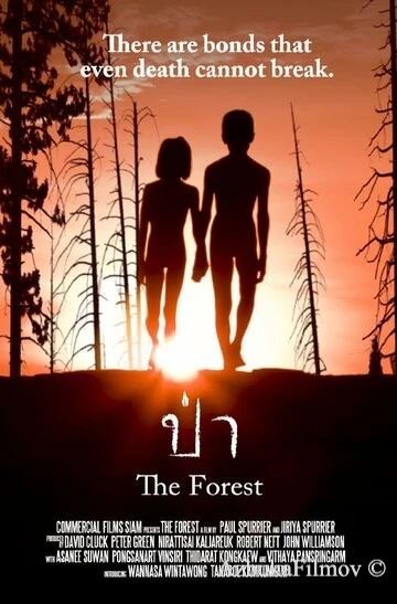 Фильм Лес (2016)
