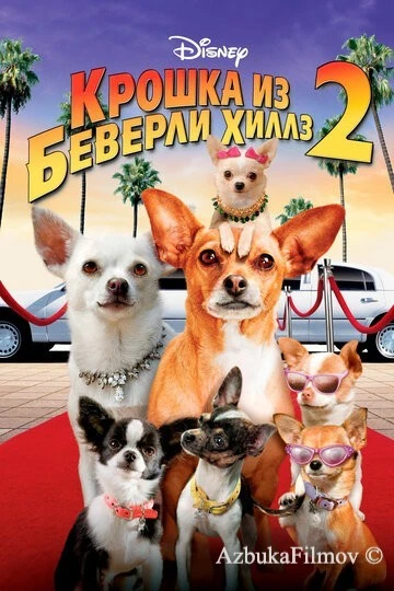 Фильм Крошка из Беверли-Хиллз 2 (2010)