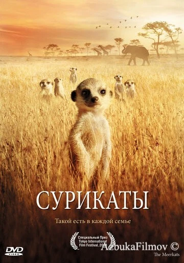 Фильм Сурикаты (2007)