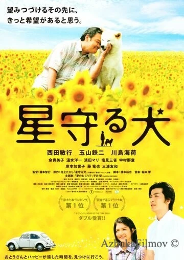 Фильм Пёс, смотрящий на звезды (2011)