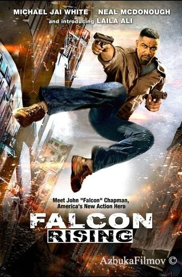 Фильм Восхождение Сокола (2013)