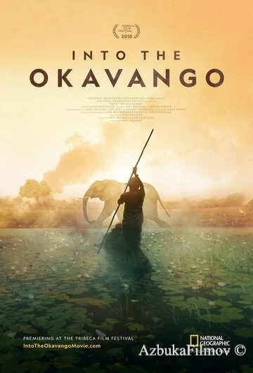 Фильм Далеко в Окаванго (2018)