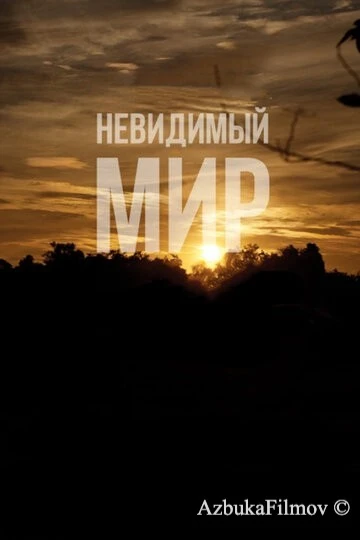 Фильм Невидимый мир (2012)