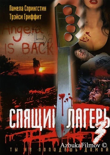Фильм Спящий лагерь 3: Безлюдная территория (1988)