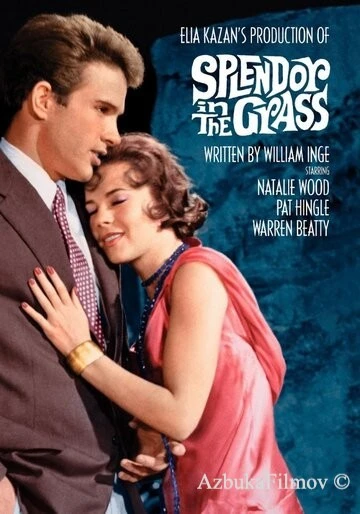 Фильм Великолепие в траве (1961)