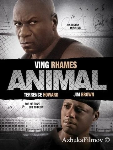 Фильм Животное (2005)