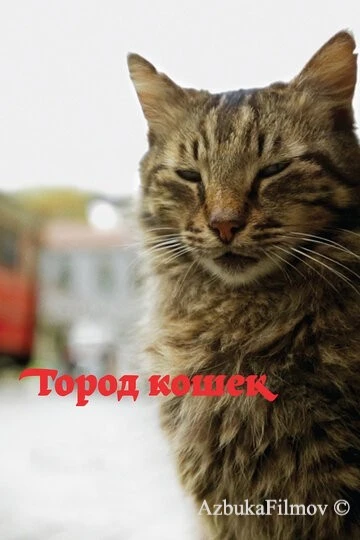 Фильм Город кошек (2016)