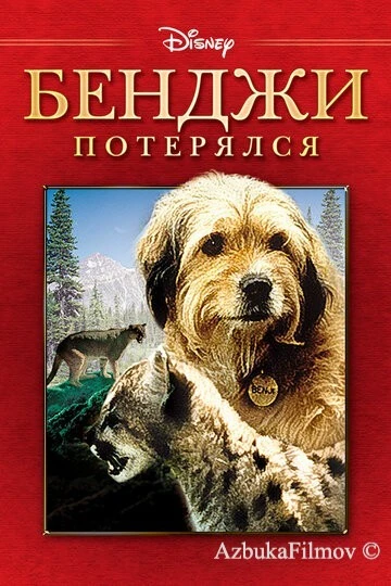 Фильм Бенджи потерялся (1987)