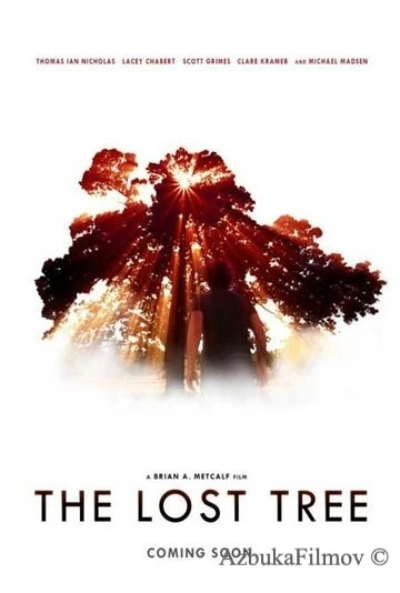 Фильм Потерянное дерево (2016)