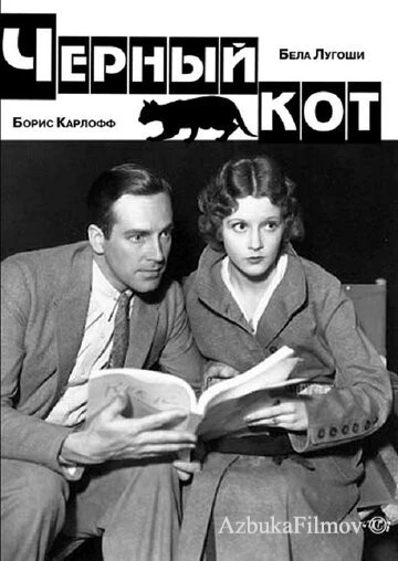 Фильм Черный кот (1934)