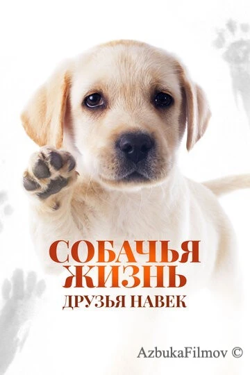 Фильм Собачья жизнь: Друзья навек (2023)
