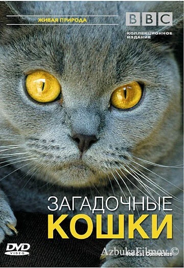 Фильм BBC: Загадочные кошки (2002)