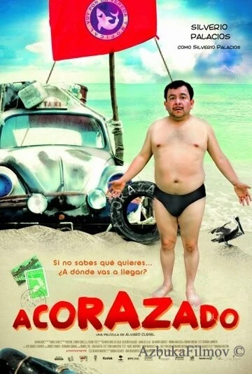 Фильм Броненосец (2010)