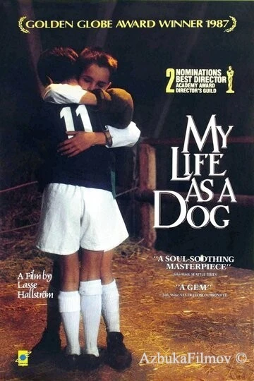 Фильм Моя собачья жизнь (1985)