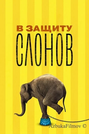 Фильм В защиту слонов (2013)