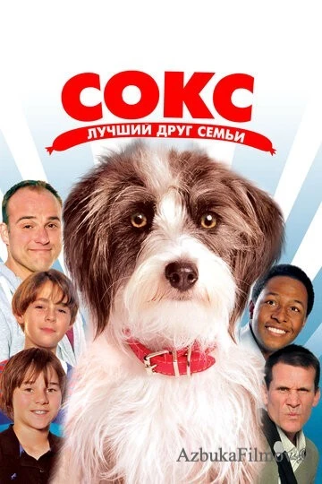 Фильм Сокс. Лучший друг семьи (2013)