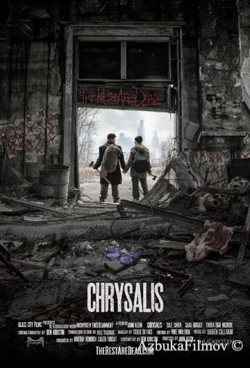 Фильм Куколка (2014)