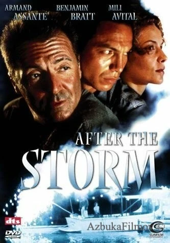Фильм После шторма (2001)
