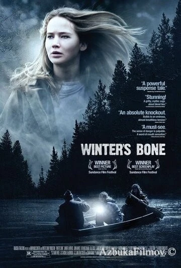 Фильм Зимняя кость (2010)