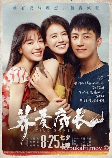 Фильм Дикие травы (2020)